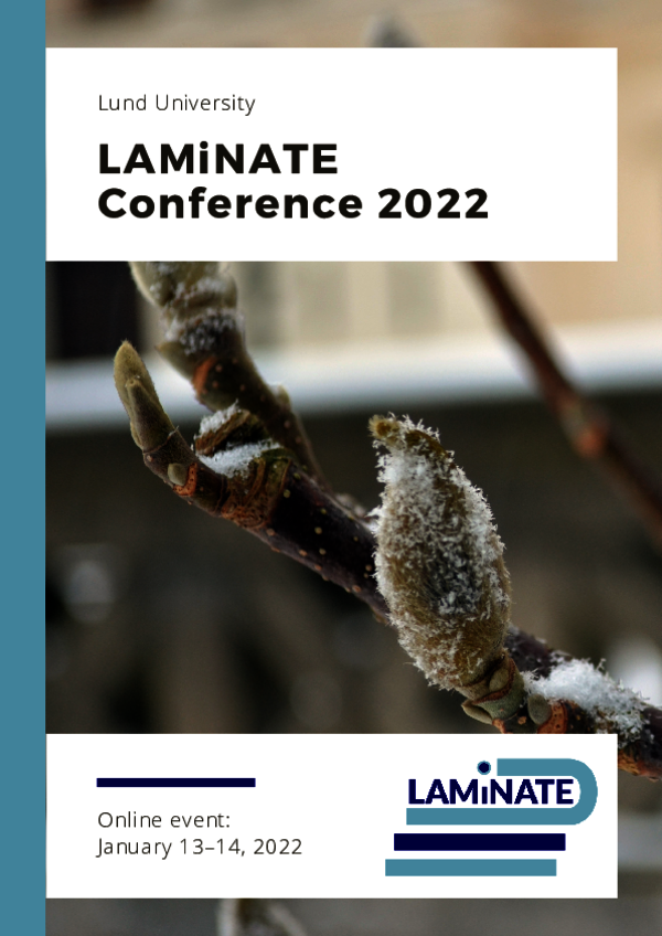 Branches in wintertime